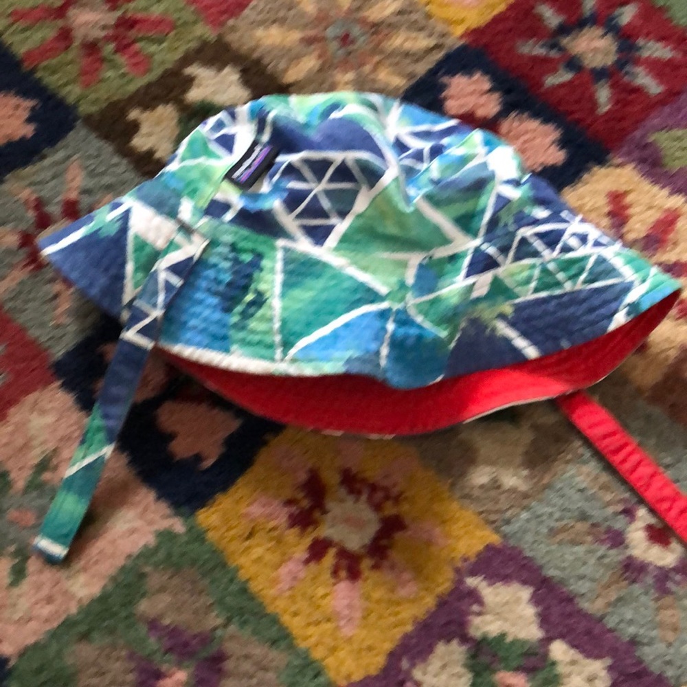 Patagonia hat